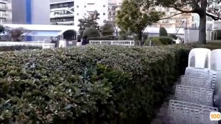 抖音极速版下载老B