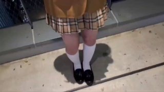ADN-505 彼女のお姉さんと関係を持って半年。会えば必ず中出しセックスしています。